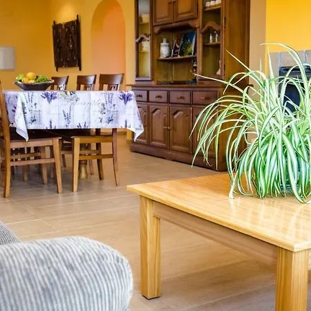 El Coscojar Дом отдыха